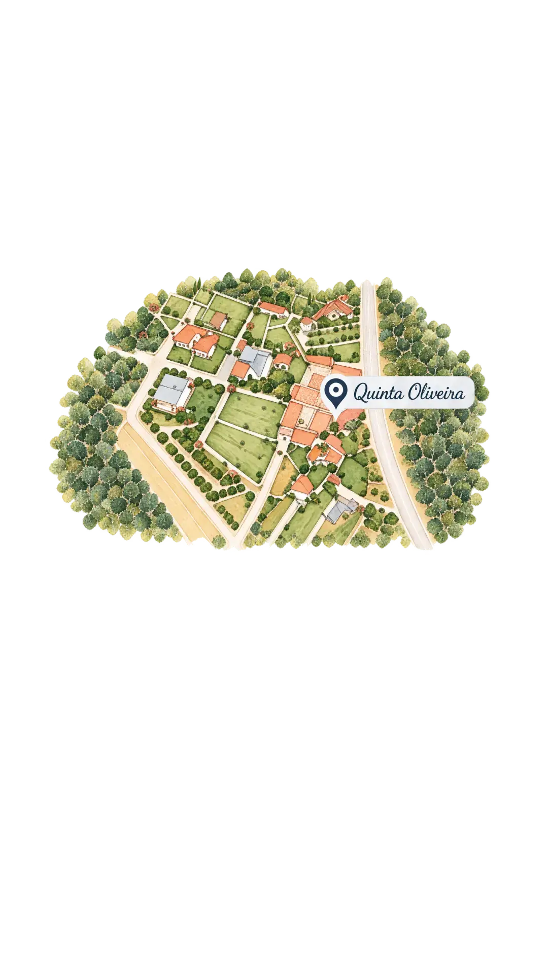 Quinta Oliveira
